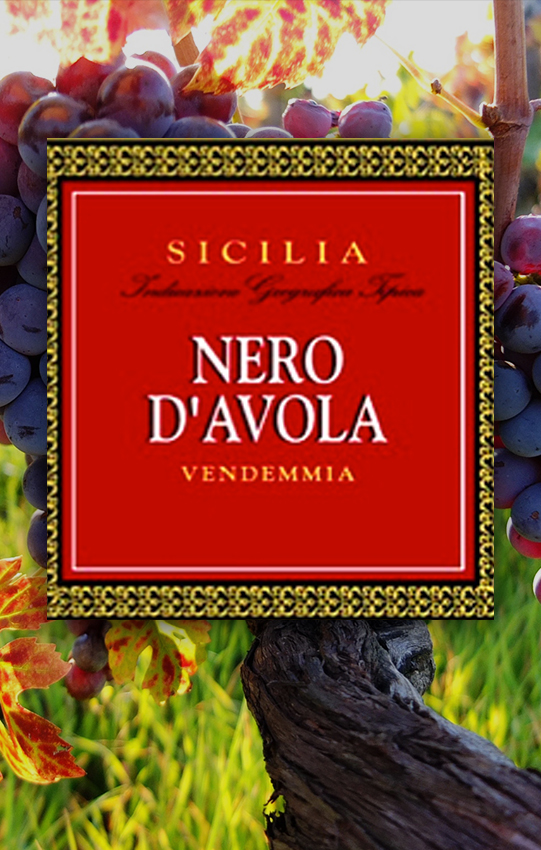 wines  arrived to Mexico in Great Fashion